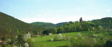 Meditation in Erlrnbach